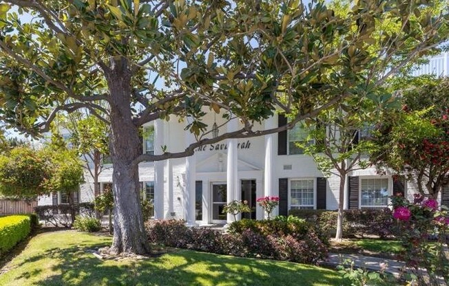 ENCHANTING 1 Bd/1 Ba Ground Floor Unit w/Open Floor Plan - Shoreline West in Mountain View