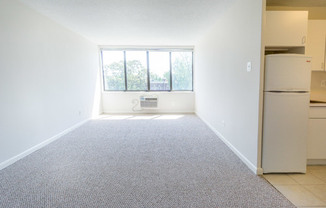 Studio, 1 bath, 405 sqft, $1,550, Unit 0207
