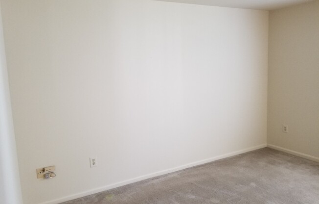 2 beds, 1 bath, $1,595