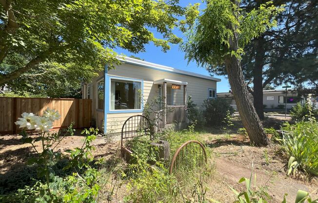 Charming Woodstock 3 Bed 1 bath Ranch House w/ a large yard, storage & Washer and Dryer!