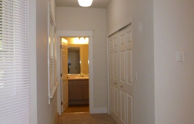 Studio, 1 bath, 400 sqft, $1,145, Unit Apt 123
