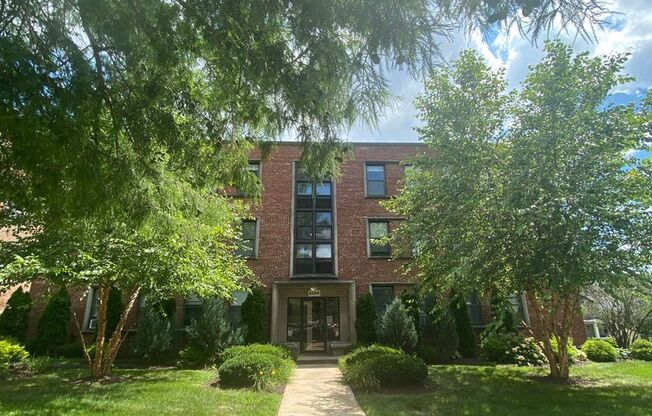 Renovated Studios, 1, & 2 bed apartments!