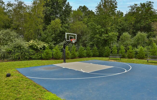 Basketball Court