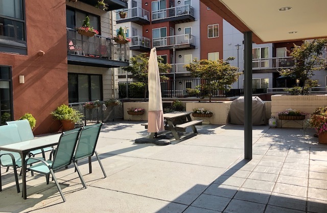 1 bed, 1 bath, $2,625