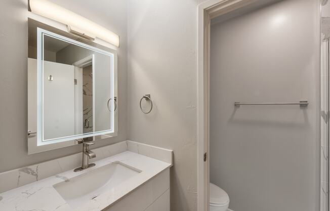 a bathroom with a sink and a mirror and a toilet