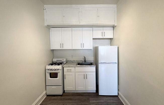 Renovated Kitchen - 301