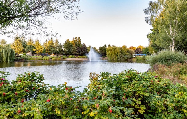 Murrayhill Pond at Overlook at Murrayhill, Beaverton Oregon