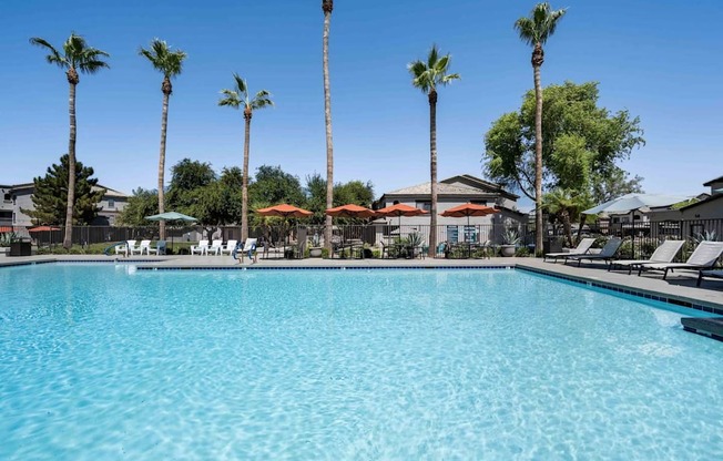 A large swimming pool surrounded by palm trees and lounge chairs. at Lazo Apartment Homes, Chandler, 85225