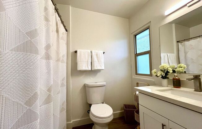 Studio, 1 bath, 534 sqft, $1,550, Unit 305