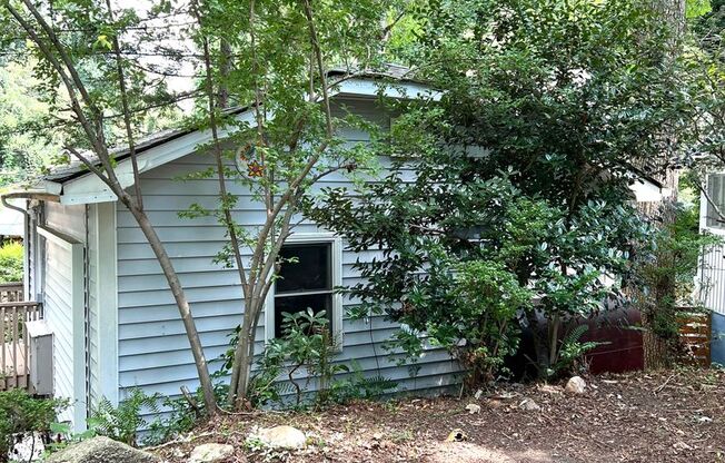 1 Bedroom cottage, great Asheville location!