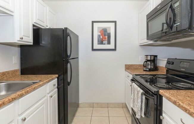 1 bed, 1 bath, 440 sqft, $1,200, Unit 1310-109
