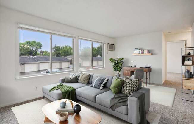Living Room with Abundant Natural Lighting
