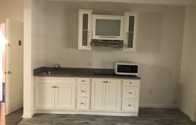 Studio, 1 bath, 298 sqft, $1,500, Unit 101