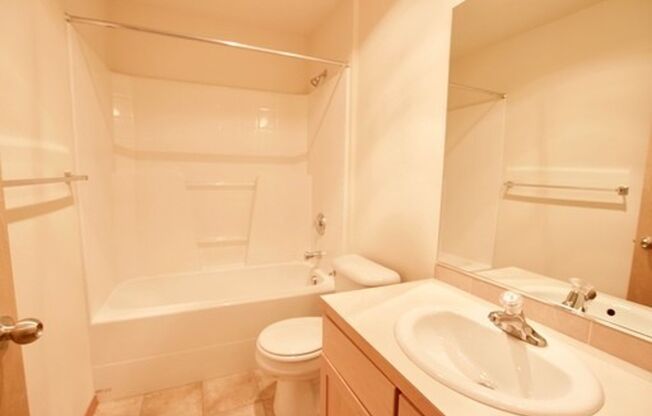 Studio, 1 bath, 510 sqft, $1,495, Unit 206