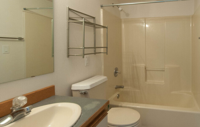 Studio, 1 bath, 380 sqft, $1,099, Unit 205