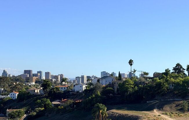 Studio, 1 bath, 440 sqft, $2,050, Unit 606