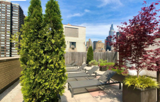 2 beds, 1 bath, 895 sqft, $5,500, Unit 2E