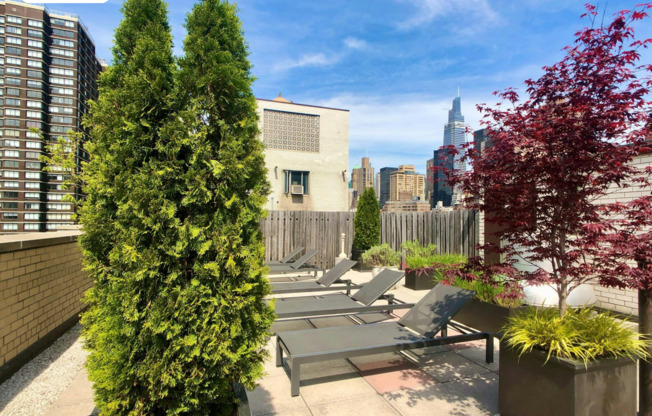 2 beds, 1 bath, 895 sqft, $5,500, Unit 2E
