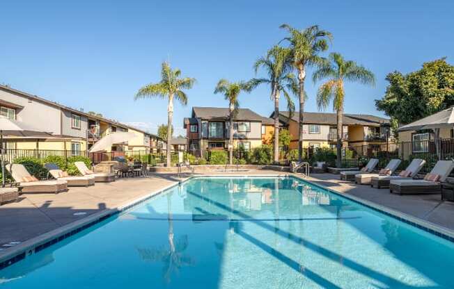 A swimming pool surrounded by palm trees and lounge chairs.