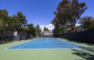 A view of a tennis court surrounded by trees, featuring a blue surface and white lines. Adjacent to the court is a basketball hoop, and the sky above is clear with a few clouds. The setting is serene and well-maintained, suitable for outdoor sports activities.