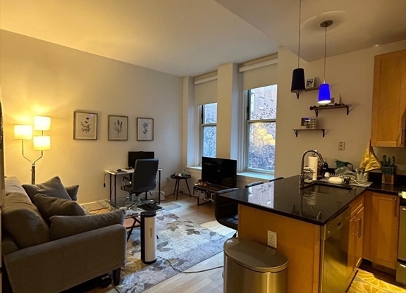 Studio, 1 bath, 511 sqft, $3,300, Unit L310