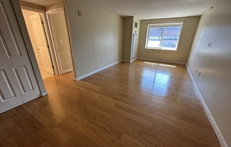 1 bed, 1 bath, 655 sqft, $3,200, Unit 215