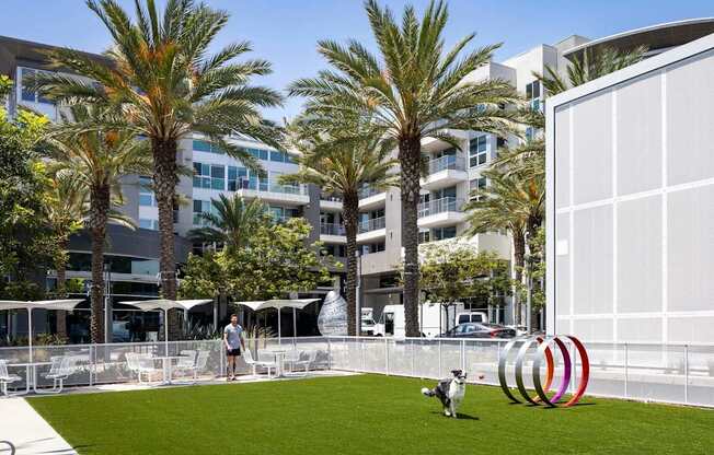 Dog Park at Elements Apartments*, Irvine, 92612