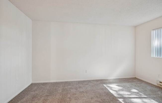 A room with white walls and a carpeted floor.