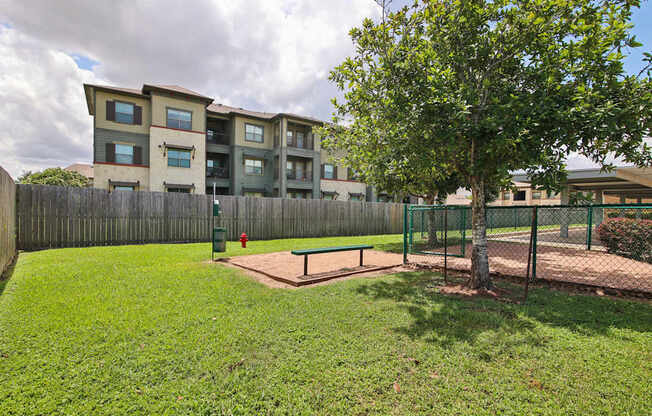 A tree in a yard with a fence and a building in the background.
