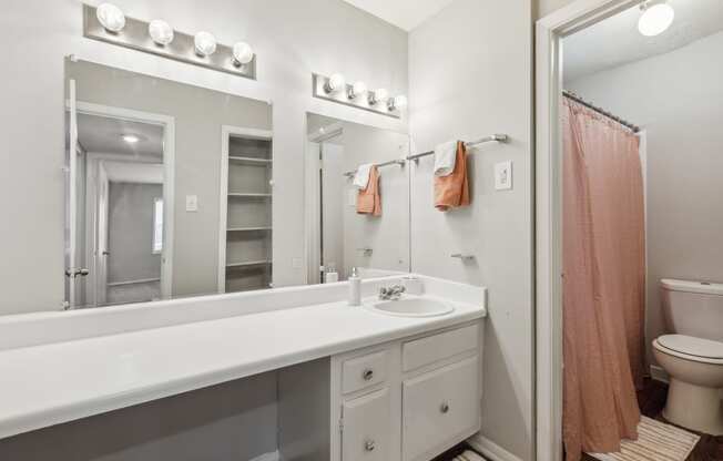 a bathroom with a large mirror and a sink and a toilet