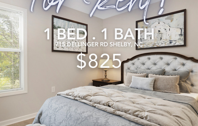 1 bed, 1 bath, 560 sqft, $825