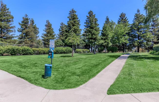 a green fire hydrant sitting in the grass