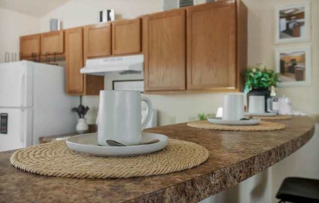 Large Kitchen Countertops