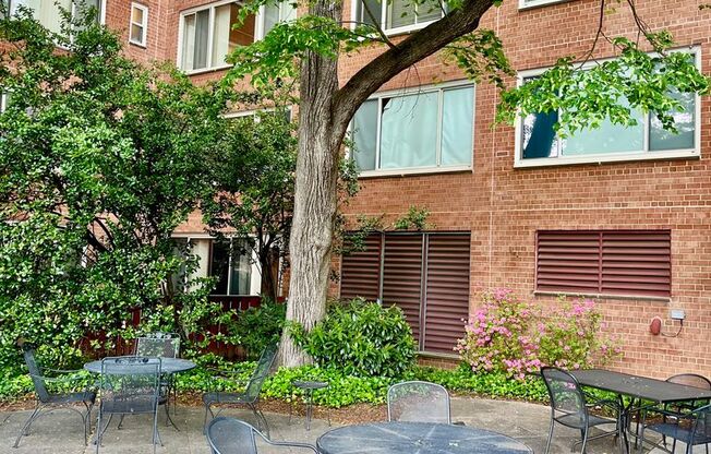 1 bed, 1 bath, $2,400, Unit # 318