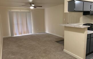 1 bed, 1 bath, 703 sqft, $875, Unit 1912