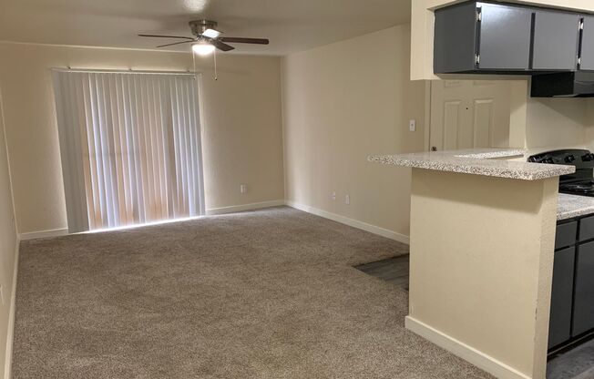 1 bed, 1 bath, 703 sqft, $875, Unit 1912