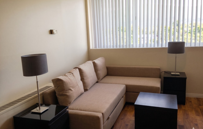 Studio, 1 bath, 250 sqft, $1,063, Unit 707