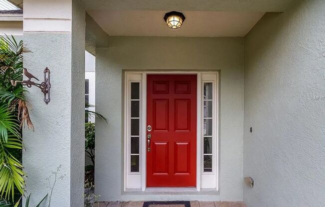 Charming 4-Bedroom Home with Pond Views & Jacuzzi in Temple Terrace
