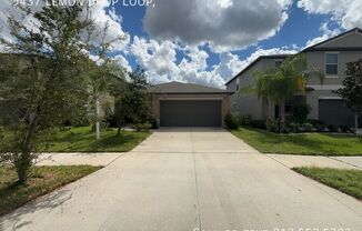 9437 LEMON DROP LOOP