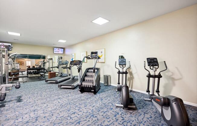 a gym with various exercise equipment in a room with a blue and white rug