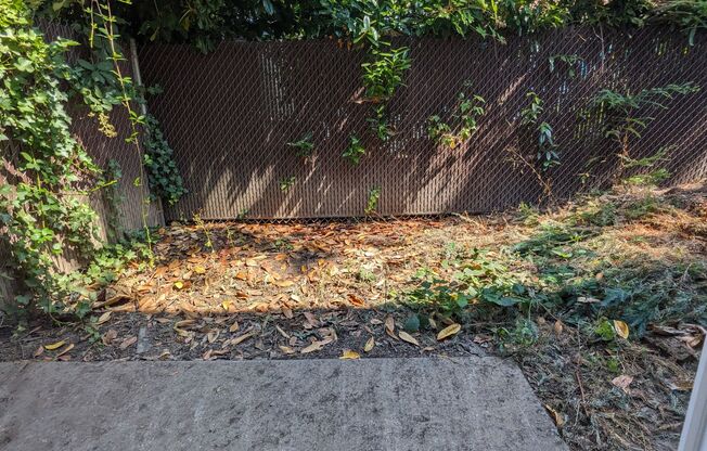 1 bed, 1 bath, 650 sqft, $1,200, Unit 02