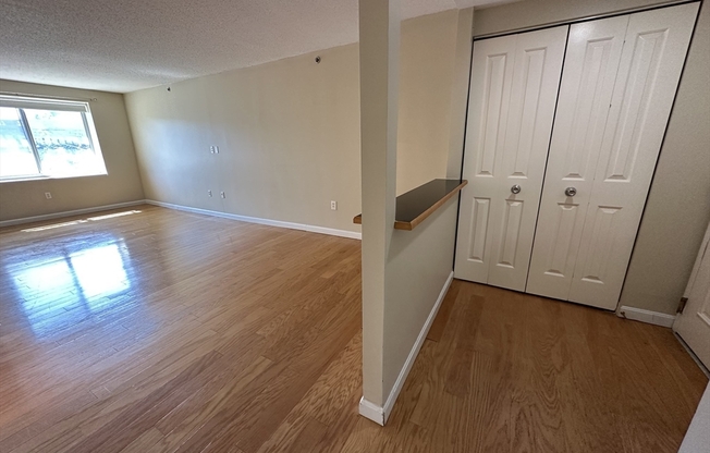 1 bed, 1 bath, 655 sqft, $3,200, Unit 215