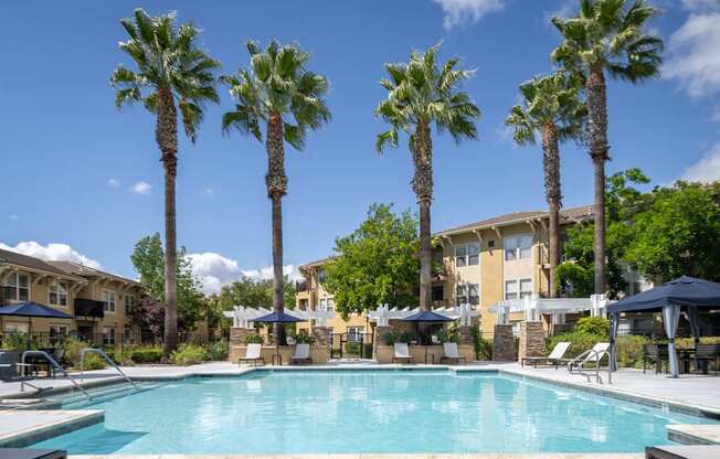 Pool area with beautiful Palm Trees at 55+ FountainGlen Temecula