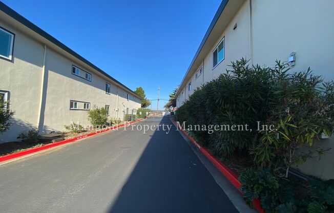 1 bed, 1 bath, 595 sqft, $1,995, Unit 696-23