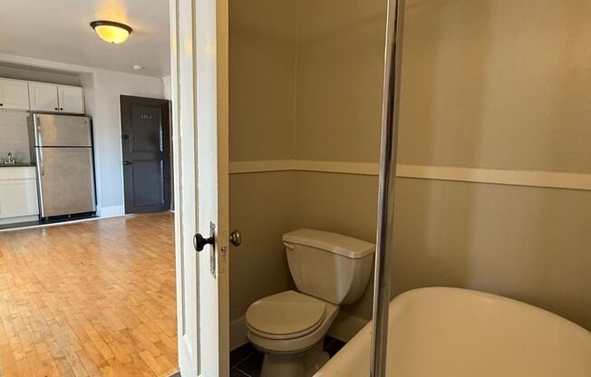 Studio, 1 bath, 209 sqft, $1,025, Unit 402