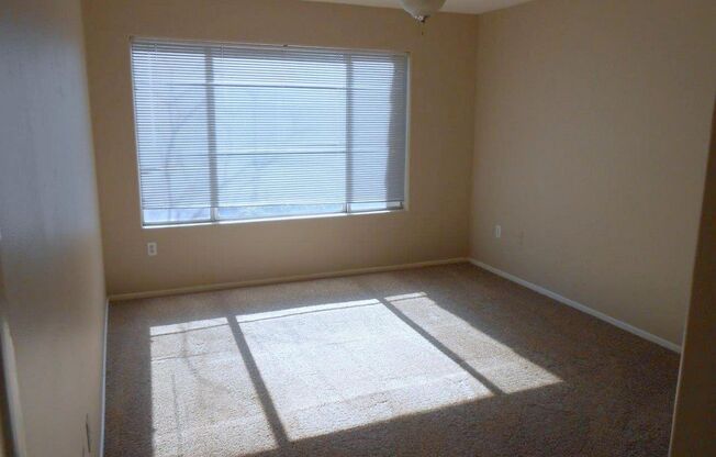 2 beds, 2 baths, $1,375