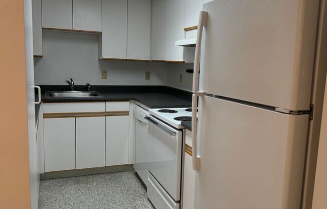 1 bed, 1 bath, 491 sqft, $1,250, Unit 203