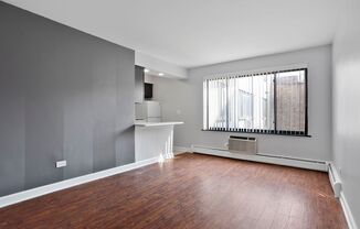 Studio, 1 bath, 298 sqft, $1,450, Unit 247