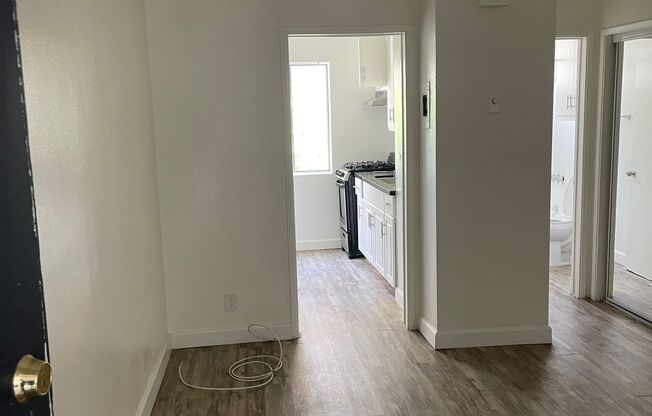 Studio, 1 bath, $1,495, Unit 24