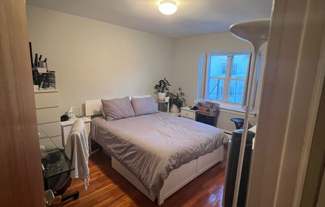 1 bed, 1 bath, $2,500, Unit 6